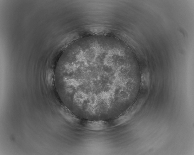 X0000110940671200907101248