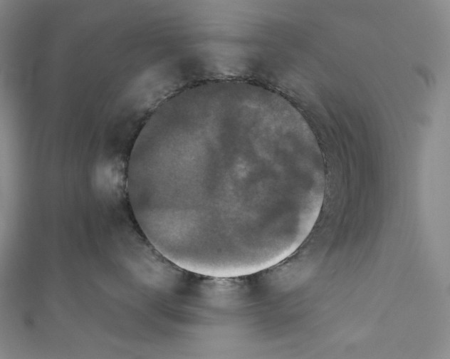 X0000110940672200907101248