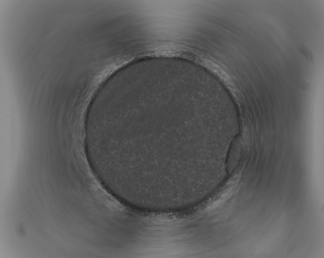 X0000110940673200907101247