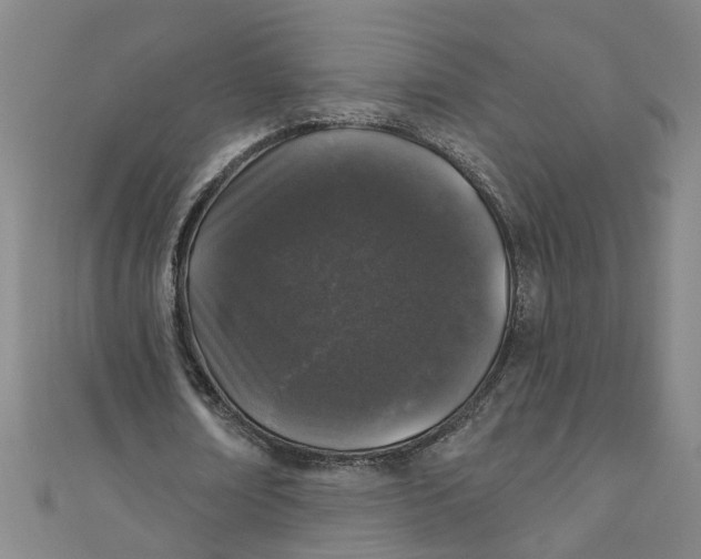 X0000110940674200907101247
