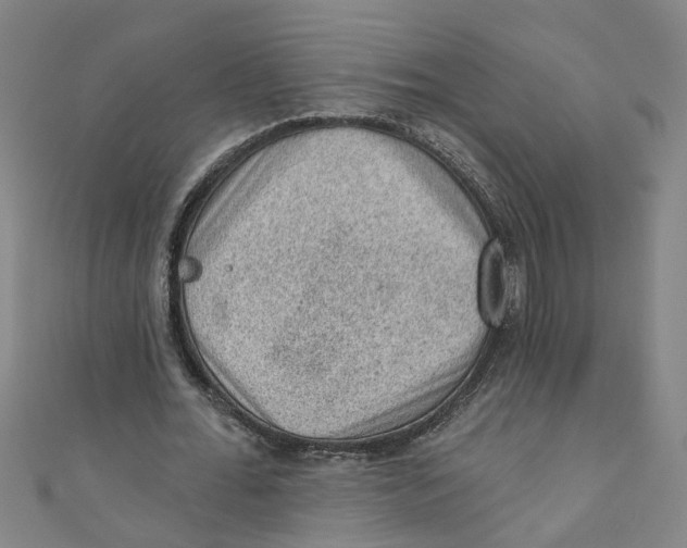X0000110940676200907101247