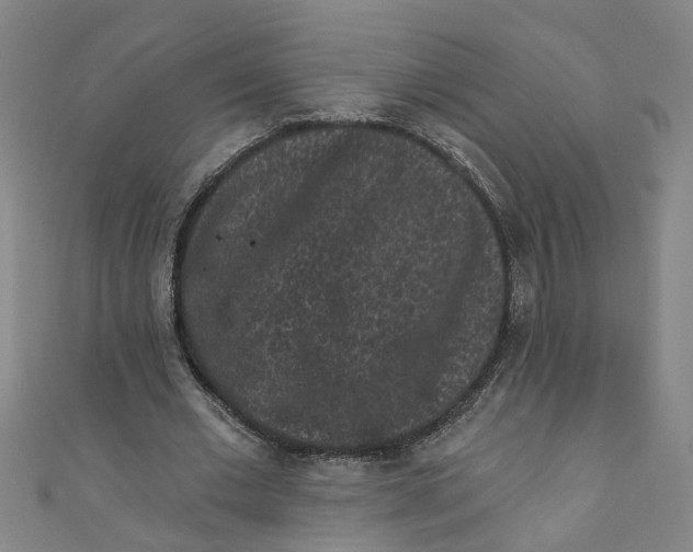 X0000110940677200907101247
