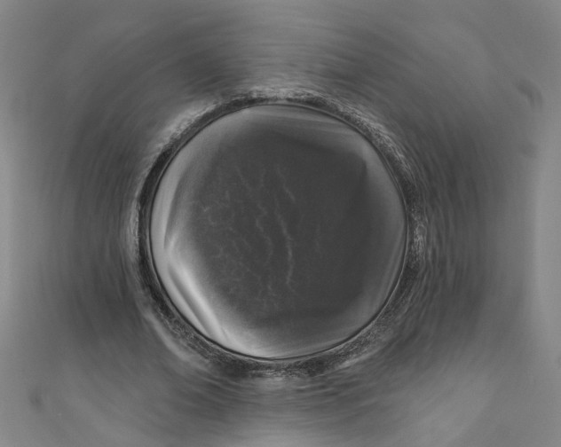 X0000110940678200907101247