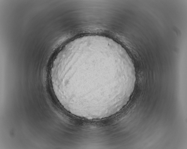 X0000110940679200907101247