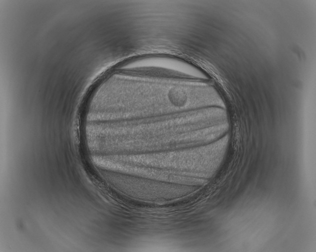 X0000110940680200907101247