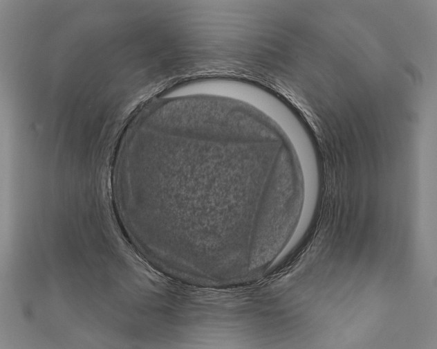 X0000110940681200907101247