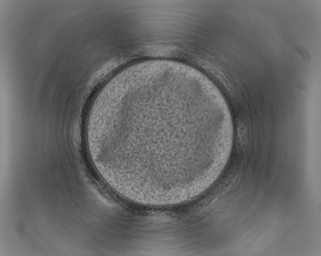 X0000110940682200907101247