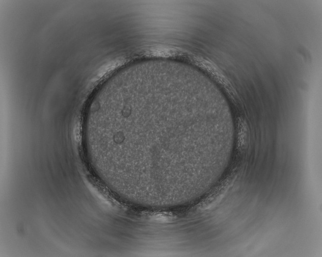 X0000110940683200907101247