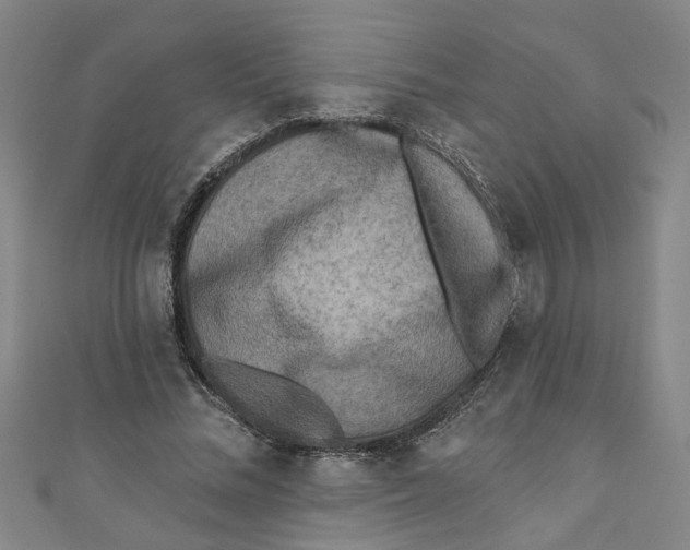 X0000110940684200907101247