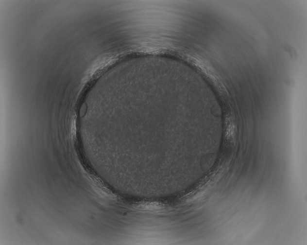 X0000110940685200907101247