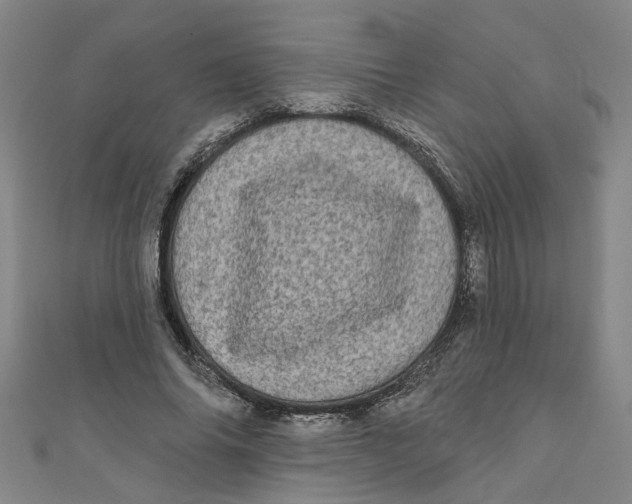 X0000110940686200907101247