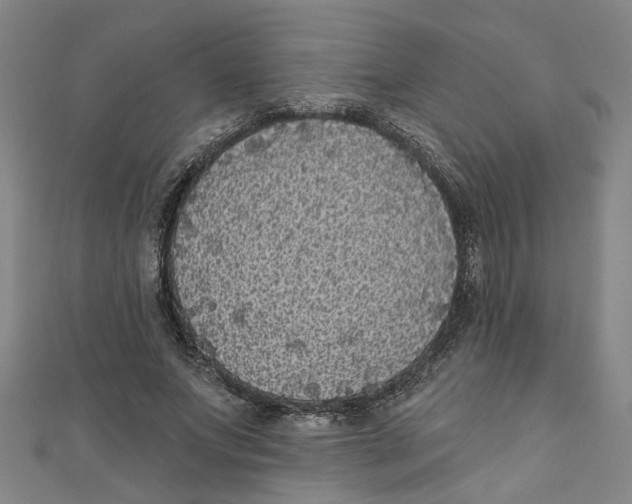 X0000110940687200907101247