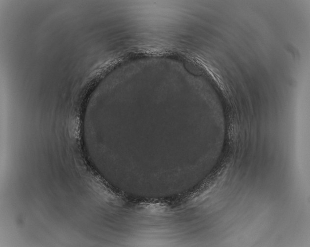 X0000110940689200907101247