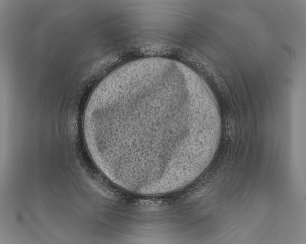 X0000110940690200907101247