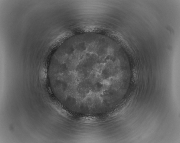 X0000110940691200907101247