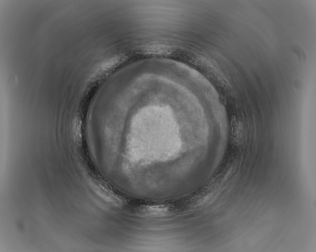 X0000110940692200907101247
