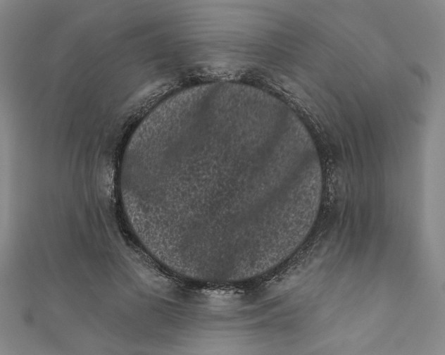 X0000110940693200907101247