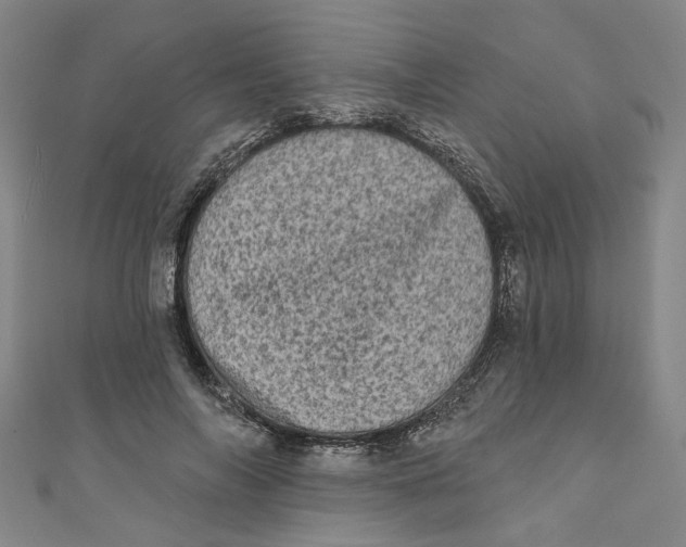 X0000110940694200907101247