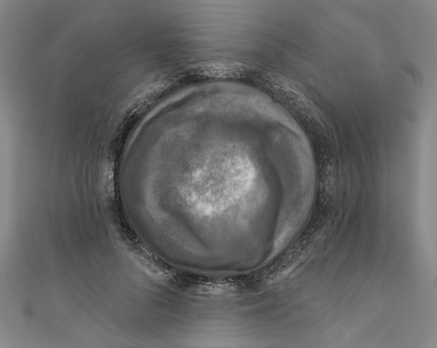 X0000110940696200907101247