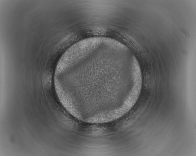 X0000110940697200907101247