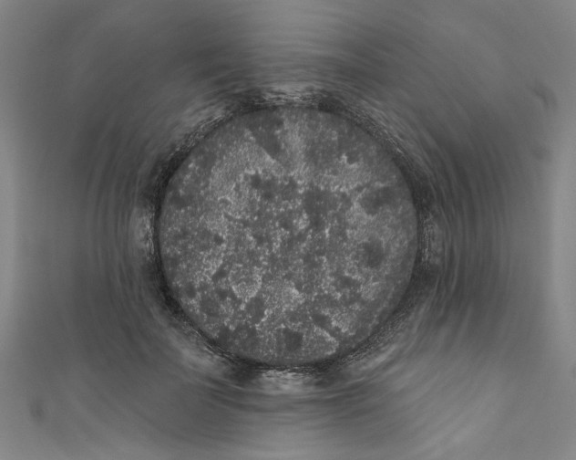 X0000110940699200907101247