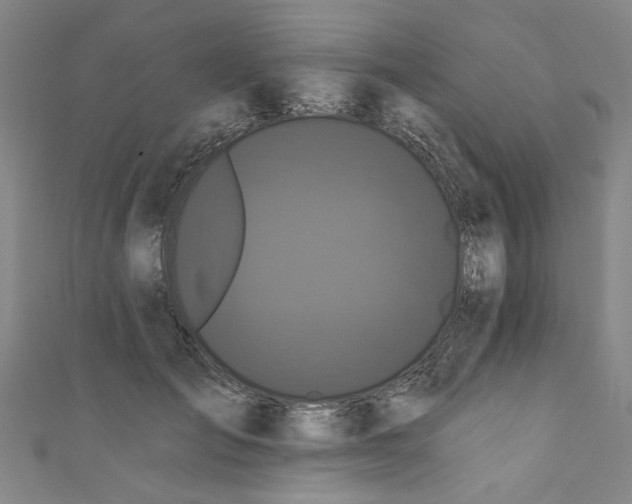 X0000110940701200907101247