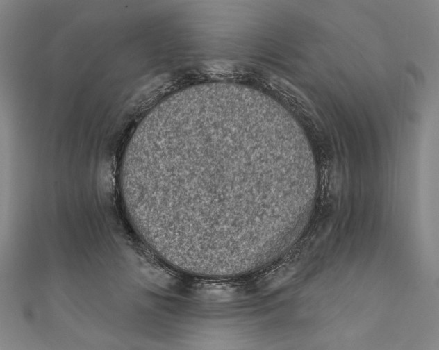 X0000110940702200907101247