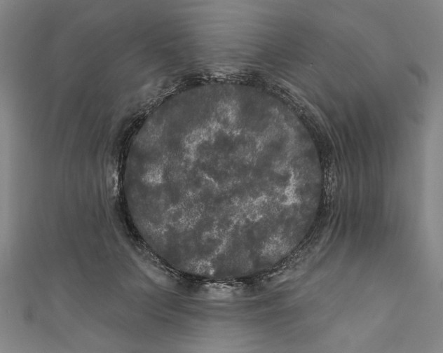 X0000110940703200907101247