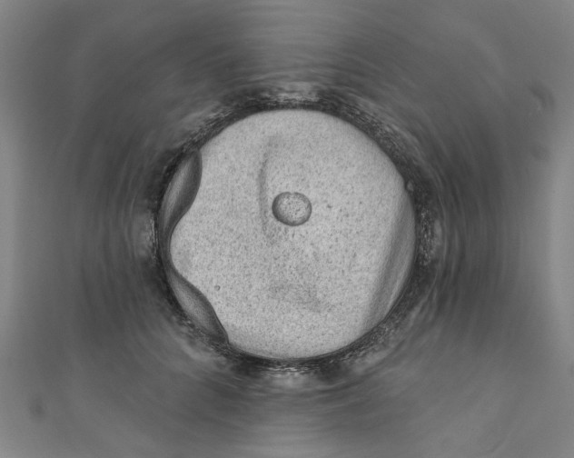 X0000110940704200907101247