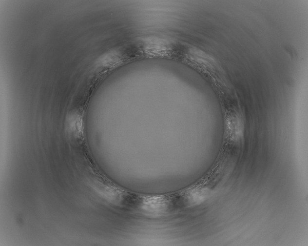 X0000110940705200907101247