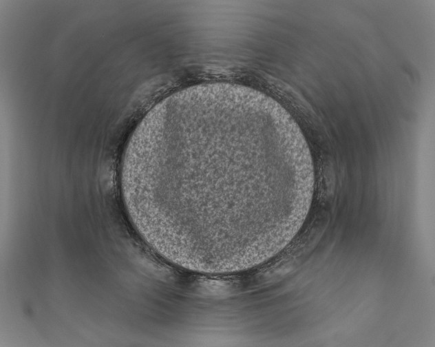 X0000110940706200907101247