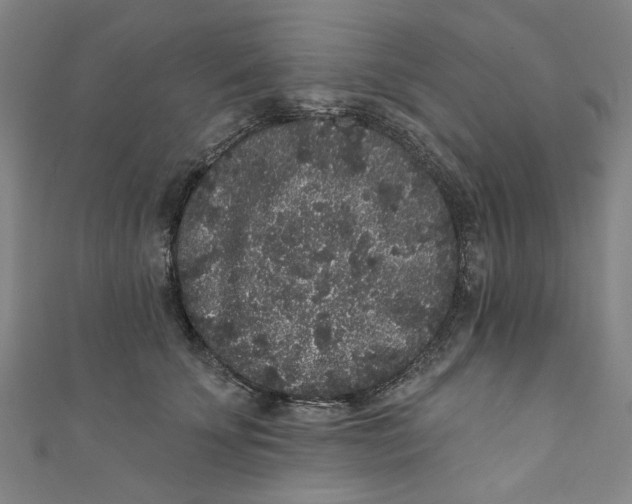 X0000110940707200907101247