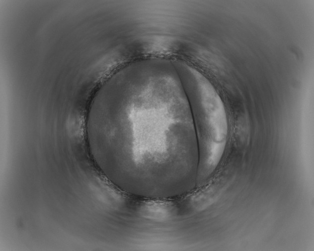 X0000110940708200907101247