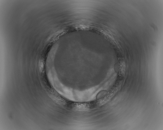 X0000110940709200907101247