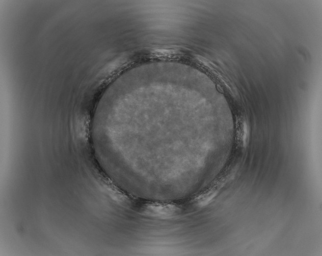 X0000110940712200907101247