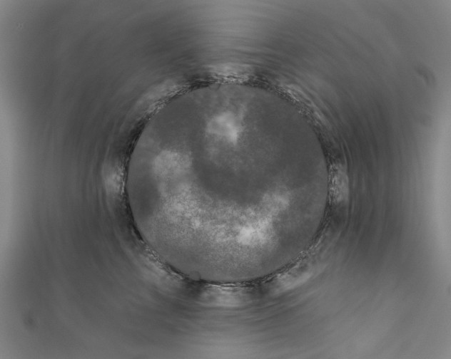 X0000110940713200907101247