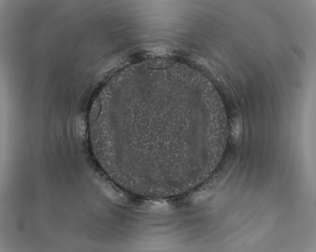 X0000110940715200907101247