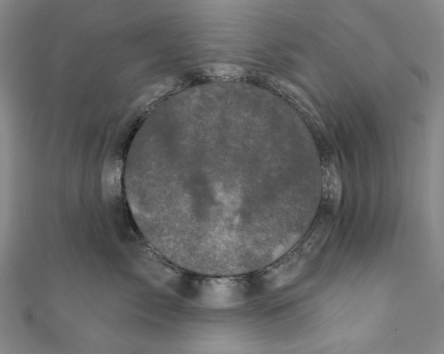 X0000110940717200907101247