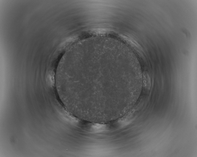 X0000110940718200907101247