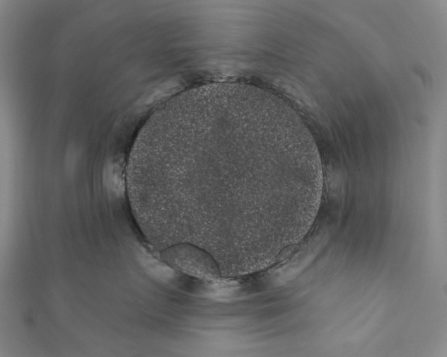 X0000110940719200907101247