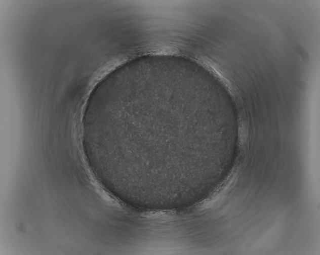 X0000110940721200907101246