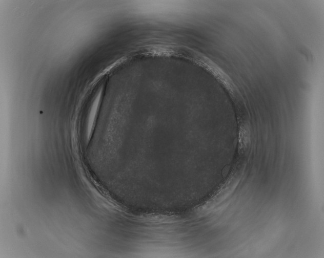 X0000110940722200907101246