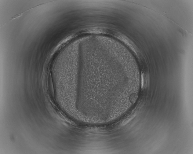X0000110940723200907101246