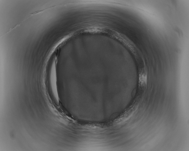 X0000110940724200907101246