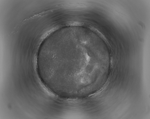X0000110940725200907101246