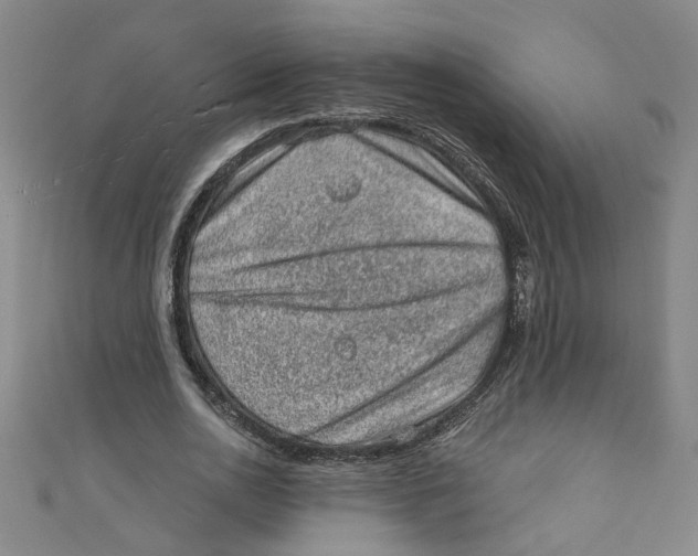 X0000110940726200907101246