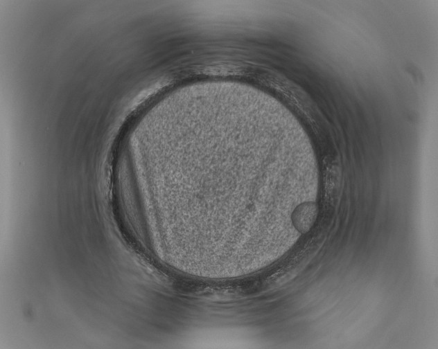 X0000110940727200907101246