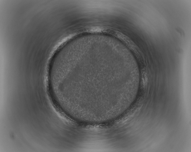 X0000110940728200907101246