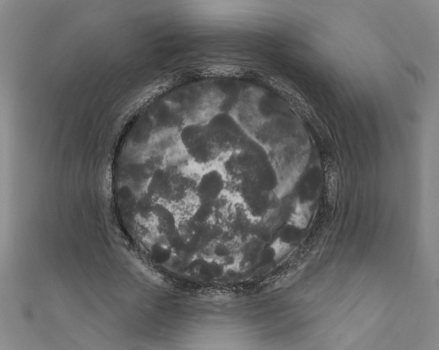 X0000110940729200907101246