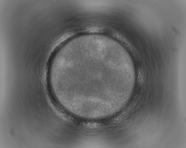 X0000110940730200907101246